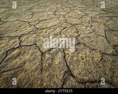 Blick auf gerissene, trockene Erde, die die Auswirkungen längerer Dürre auf Umwelt und Klima zeigt. Stockfoto