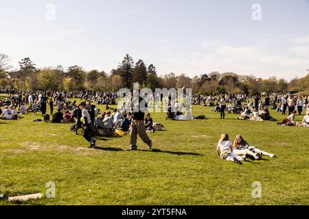 Kopenhagen, Dänemark. Mai 2024. Die Feier des Internationalen Arbeitstages in Faelledparken. (Foto: Kristian Tuxen Ladegaard Berg/SOPA Images/SIPA USA) Credit: SIPA USA/Alamy Live News Stockfoto