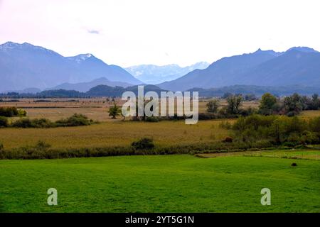 DEU, Deutschland, Bayern, Murnau, 22.09.2024: Blick über das Murnauer Moos im Herbst nach Süden *** DEU, Germany, Bavaria, Murnau, 22 09 2024 Blick über das Murnauer Moos nach Süden im Herbst Stockfoto