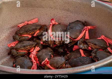 Frische blaue Krabben auf dem Kep Street Market in Kambodscha Stockfoto