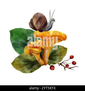Eine Schnecke kriecht auf Pfifferlingen. In der Nähe befinden sich grüne Birkenblätter und Lindenblätter. Ein Zweig mit vogelbeeren in realistischem Stil. Aquarell handgezeichnete Illustration auf weißem Hintergrund Stockfoto