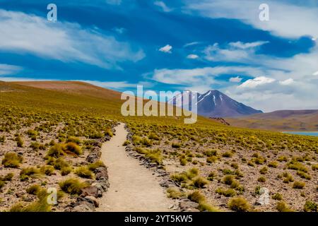 Lagunas Altiplanicas Miscanti y Minques Seen in der Wüste Atacama in Chile. Altiplano Hochebenen und Salzebenen der südamerikanischen Landschaft. Salar Seen Stockfoto