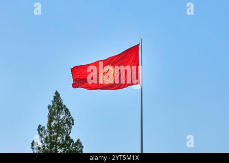 Kirgisistan aktualisierte Flagge flattert gegen den klaren blauen Himmel. Die neue rote Flagge der Kirgisischen Republik auf einem Fahnenmast, nahe der Spitze eines Nadelbaums. Kirgh Stockfoto