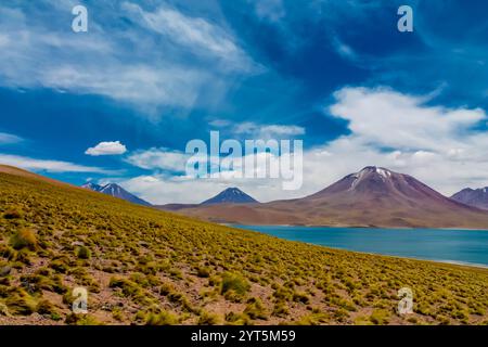 Lagunas Altiplanicas Miscanti y Minques Seen in der Wüste Atacama in Chile. Altiplano Hochebenen und Salzebenen der südamerikanischen Landschaft. Salar Seen Stockfoto