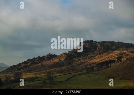 Am späten Nachmittag sonnen Sie sich auf den Kakerlaken im Staffordshire Peak District National Park, England, Großbritannien. Stockfoto