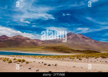 Lagunas Altiplanicas Miscanti y Minques Seen in der Wüste Atacama in Chile. Altiplano Hochebenen und Salzebenen der südamerikanischen Landschaft. Salar Seen Stockfoto