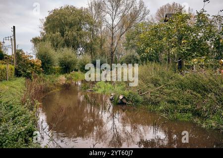 10. Oktober 2024: Malerischer Herbstblick auf den Dommel bei Opwetten, umgeben von üppigem Grün, ruhigem Wasser und einer ruhigen natürlichen Atmosphäre. Stockfoto