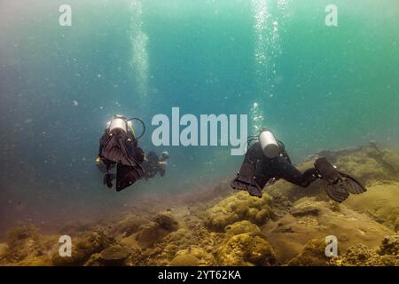 Zwei Taucher erkunden ein matschiges Riff, deren Luftblasen in einer faszinierenden Unterwasserszene zur Oberfläche steigen und das Wesen von Oce erfassen Stockfoto