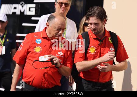 Frederic Vasseur (Scuderia Ferrari HP, Teamchef), ARE, Formel 1 Weltmeisterschaft, Abu Dhabi Grand Prix, Yas Marina Circuit, 06.12.2024 Foto: Eibner-Pressefoto/Annika Graf Stockfoto