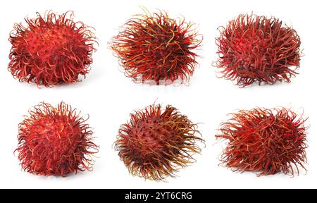 Frische ungeschälte Rambutan-Früchte isoliert auf weiß, Set Stockfoto