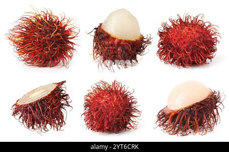 Frische tropische Rambutan-Früchte isoliert auf weiß, Set Stockfoto