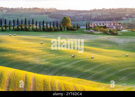 Sanfte Hügel von Val d'Orcia, Toskana, Italien Stockfoto