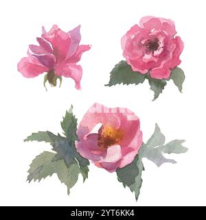 Wildblumen auf weißem Hintergrund. Hunderose. Hüftrose. Abbildung. Verwendung für Scrapbooking, Einladungen, Bücher und Zeitschriften, Decoupage, Auto Stockfoto