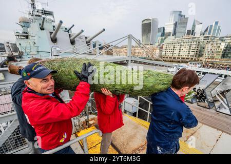 London, Großbritannien. Dezember 2024. Die aktuelle Crew und die Freiwilligen an Bord der HMS Belfast beginnen eine neue festliche Tradition, einen Weihnachtsbaum vom Borough Market zurückzubringen, um das Vierteldeck im Geiste zu dekorieren, wie die Besatzung der HMS Belfast 1943 Weihnachten während der arktischen Konvois gefeiert hätte. Guy Bell/Alamy Live News Stockfoto