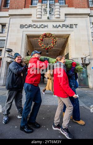 London, Großbritannien. Dezember 2024. Die aktuelle Crew und die Freiwilligen an Bord der HMS Belfast beginnen eine neue festliche Tradition, einen Weihnachtsbaum vom Borough Market zurückzubringen, um das Vierteldeck im Geiste zu dekorieren, wie die Besatzung der HMS Belfast 1943 Weihnachten während der arktischen Konvois gefeiert hätte. Guy Bell/Alamy Live News Stockfoto