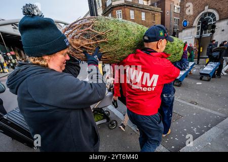 London, Großbritannien. Dezember 2024. Die aktuelle Crew und die Freiwilligen an Bord der HMS Belfast beginnen eine neue festliche Tradition, einen Weihnachtsbaum vom Borough Market zurückzubringen, um das Vierteldeck im Geiste zu dekorieren, wie die Besatzung der HMS Belfast 1943 Weihnachten während der arktischen Konvois gefeiert hätte. Guy Bell/Alamy Live News Stockfoto