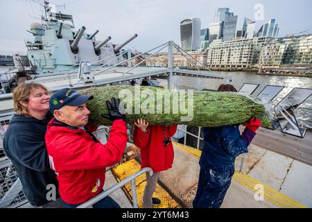 London, Großbritannien. Dezember 2024. Die aktuelle Crew und die Freiwilligen an Bord der HMS Belfast beginnen eine neue festliche Tradition, einen Weihnachtsbaum vom Borough Market zurückzubringen, um das Vierteldeck im Geiste zu dekorieren, wie die Besatzung der HMS Belfast 1943 Weihnachten während der arktischen Konvois gefeiert hätte. Guy Bell/Alamy Live News Stockfoto