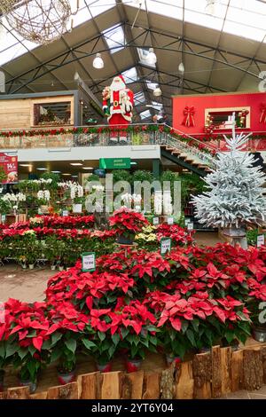 Weihnachtsbäume und Dekorationen mit festlichen Schaufenstern. Stockfoto