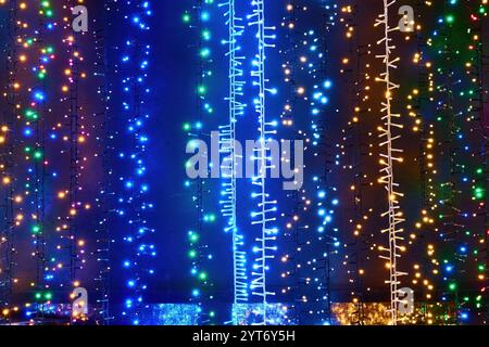 Weihnachtsbäume und Dekorationen mit festlichen Schaufenstern. Stockfoto