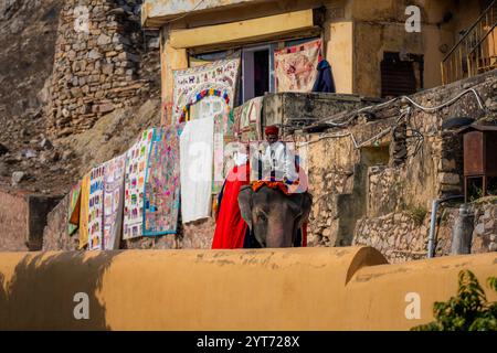 Jaipur, Indien, Rajasthan, Fort Amber, Elefanten Stockfoto