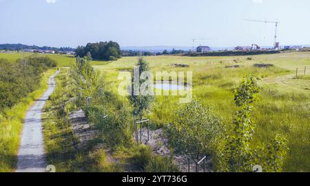 Blick von oben auf ein Ausgleichsgebiet mit artenreicher Wiese, alternierenden Feuchthöhlen, Totholzpfählen und Felspfählen für Amphibien und Insekten am Rande eines neuen Bebauungsgebietes Stockfoto