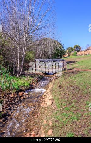 Pfad mit Holzbrücke über einen kleinen Fluss, der durch wunderschöne Gärten inmitten grüner Vegetation verläuft, Kapstadt, Südafrika Stockfoto