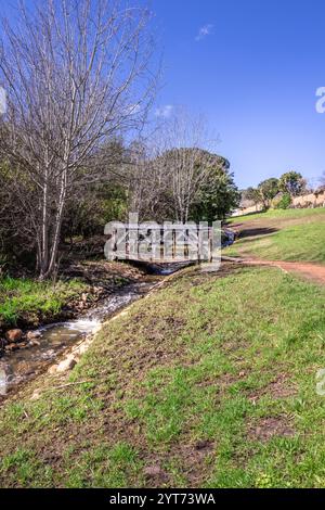 Pfad mit Holzbrücke über einen kleinen Fluss, der durch wunderschöne Gärten inmitten grüner Vegetation verläuft, Kapstadt, Südafrika Stockfoto