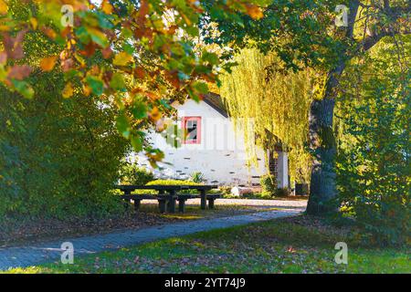 Mosellandschaft zwischen Riol und Longuich an der Mosel bei sonnigem Wetter im Herbst. Stockfoto