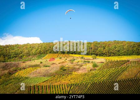 Gleitschirmflieger bei Longuich an der Mosel bei sonnigem Wetter im Herbst. Stockfoto