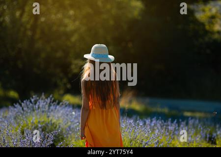 Ein Mädchen steht mitten auf einem Lavendelfeld und bewundert die Felder Stockfoto