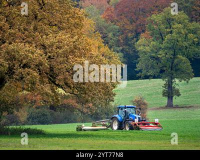 Traktor mäht eine Wiese im Herbst, Herbstmähen, Bayern, Deutschland Stockfoto