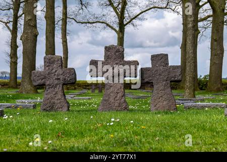 Langemark-Poelkapelle, der Langemark Friedhof ist als Friedhof der Kriegsfreiwilligen von 1914 in die Geschichte eingegangen und wird auch als Studentenfriedhof bezeichnet. Drei Steinkreuze Stockfoto