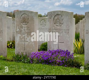 Zonnebeke - Passendale, Tyne Cot Commonwealth war Graves Cemetery und Memorial to the Missing, entworfen von Sir Herbert Baker, ein Militärfriedhof für die Soldaten aus Commonwealth-Ländern, die im Ersten Weltkrieg um Ypern ab 1917 starben. Grabsteine australischer Soldaten Stockfoto