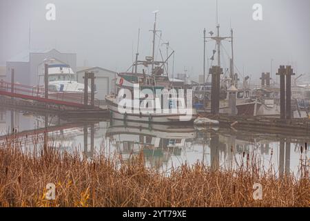 Ein nebeliger Morgen am Yachthafen in Steveston B.C. Kanada Stockfoto