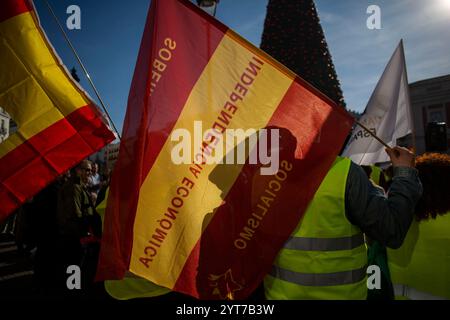 Madrid, Spanien. Dezember 2024. Anhänger der extremen Rechten, die bei einer Demonstration in Puerta del Sol mit spanischen Fahnen gesehen wurden und den Tag der Nichtverfassung forderten. Spanien feiert den 46. Jahrestag der spanischen Verfassung. Quelle: SOPA Images Limited/Alamy Live News Stockfoto