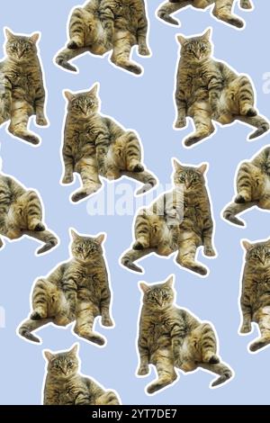 Collage Katze lustige Katzenköpfe auf blauem Hintergrund. Nahtloses Wiederholungsmuster. Digitale Collage. Stockfoto