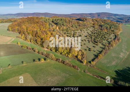 Herbstwald bei Oberode, Niedersachsen, Deutschland, Luftaufnahme Stockfoto