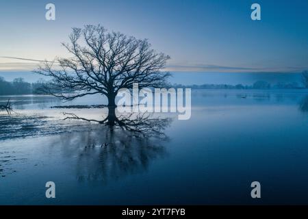 UNESCO-Biosphärenreservat Elblandschaft Stockfoto