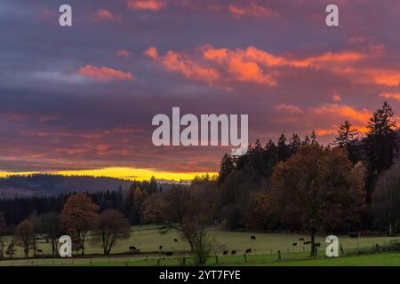 Herbstlandschaft im Ahletal bei Sonnenuntergang Stockfoto