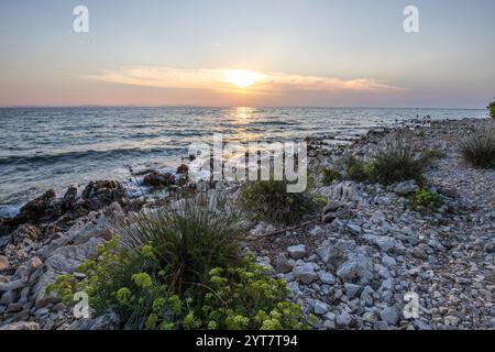 Wunderschöner Sonnenuntergang in einer Landschaft an einer felsigen Küste mit einem markanten Leuchtturm und Kiefernwald. Blick über die Küste zum Gebäude, auf das Mittelmeer, Vir, Dalmatien, Kroatien, Adria Stockfoto