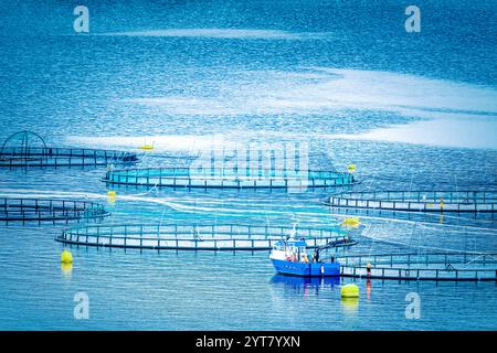 Aquakultur, Fischzucht in Skandinavien Stockfoto