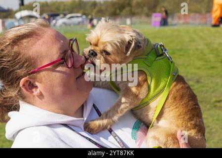 England, Kent, Deal, Betteshanger Country Park, Pawfest, Hunde Stockfoto