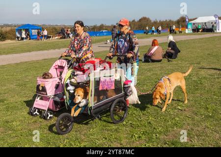 England, Kent, Deal, Betteshanger Country Park, Pawfest, Veranstaltungsbesucher Stockfoto