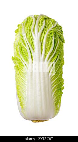 Frischer napa-Kohl, isoliert auf weißem Hintergrund. Ganzer chinakohl mit grünem, strukturiertem Blattausschnitt. Veganes Essen, Gemüse, Food Design Stockfoto