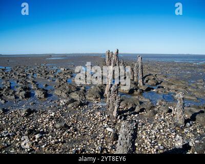 Weitwinkelblick auf das Niedersächsische Wattenmeer mit verwitterten hölzernen Groyne-Piers bei Neuharlingersiel mit Fehlanlagen der Ostfriesischen Inseln am Horizont. Stockfoto