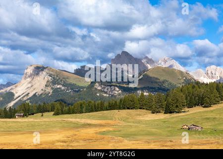 Blick von der Seiser Alm, Seiser Alm, nach Seceda und Geisler Gruppe Südtirol Stockfoto