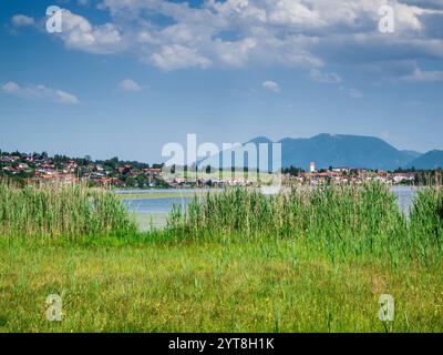 Landschaftsblick mit Blick über den Hopfensee auf der Gemeinde Hopfen am See in Bayern im Sommer mit blauem Himmel mit Wolken. Stockfoto