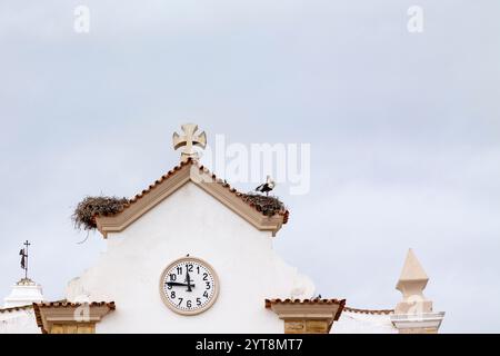 Ein Weißstorch (Ciconia ciconia) auf seinem Nest auf einem Kirchendach in Olhao, Algarve, Portugal. Stockfoto