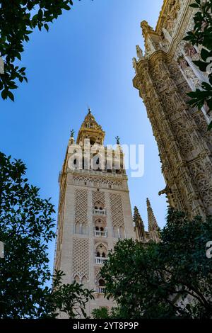 Die Giralda, der Glockenturm der Kathedrale Santa Maria de la Sede in Sevilla, Andalusien, Spanien. Stockfoto