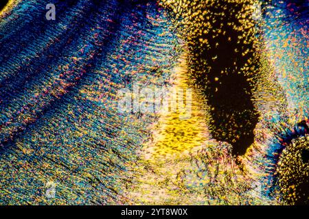 Mikroskopische Aufnahme mit bunten Mikrokristallen in polarisiertem Licht Stockfoto